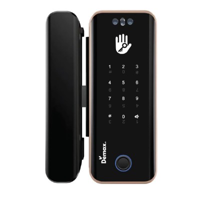 Khóa cửa kính Demax EL800G AC TTLOCK Face-ID